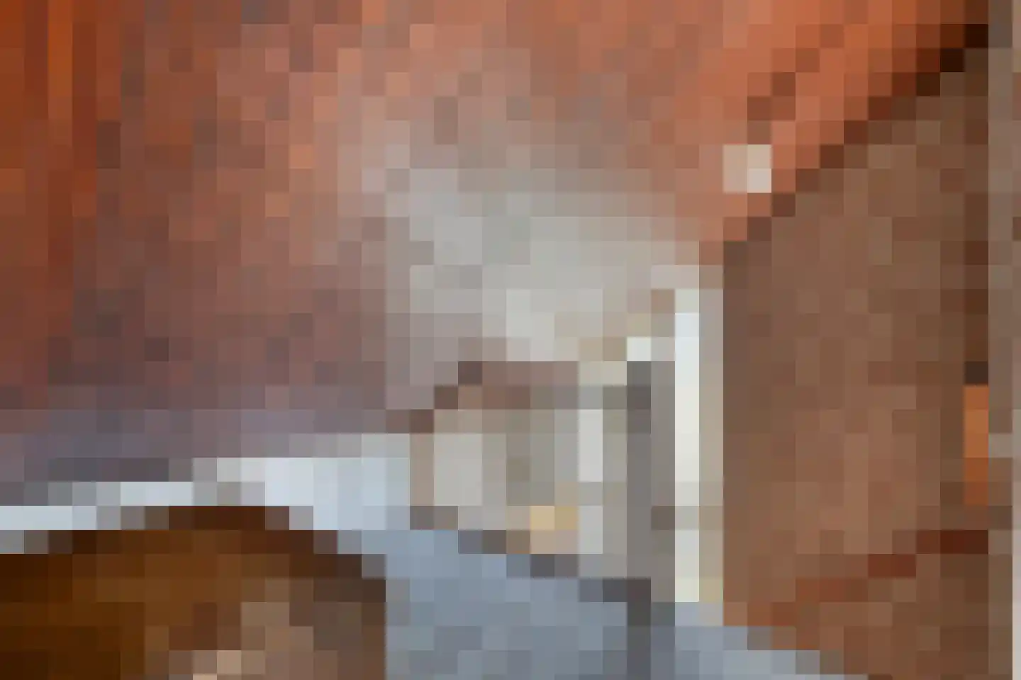 Boekweitstraat 1 Odiliapeel thumbnail 33
