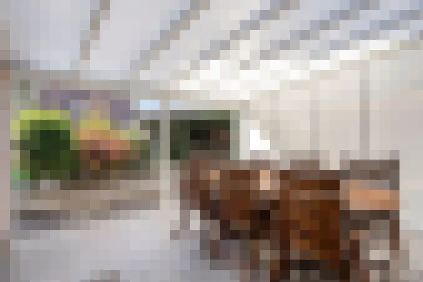 Boekweitstraat 1 Odiliapeel thumbnail 37