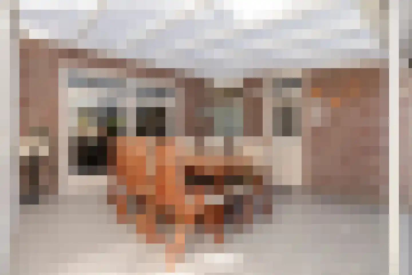 Boekweitstraat 1 Odiliapeel thumbnail 38