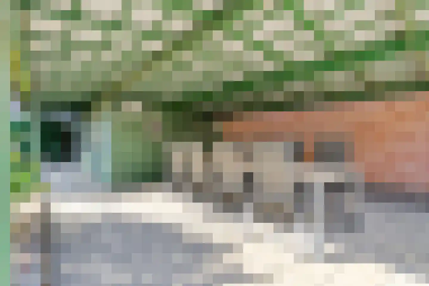 Boekweitstraat 1 Odiliapeel thumbnail 39