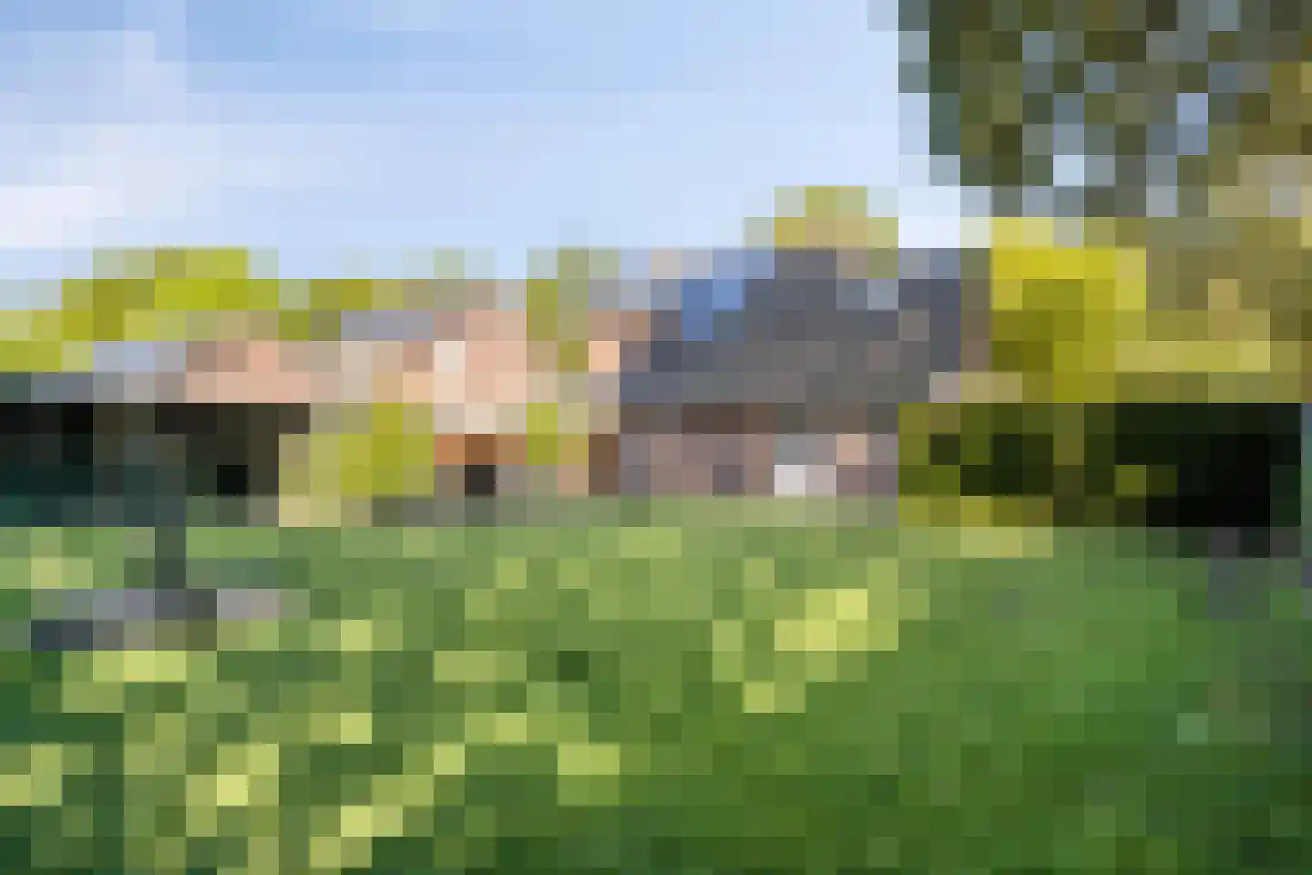 Boekweitstraat 1 Odiliapeel thumbnail 42