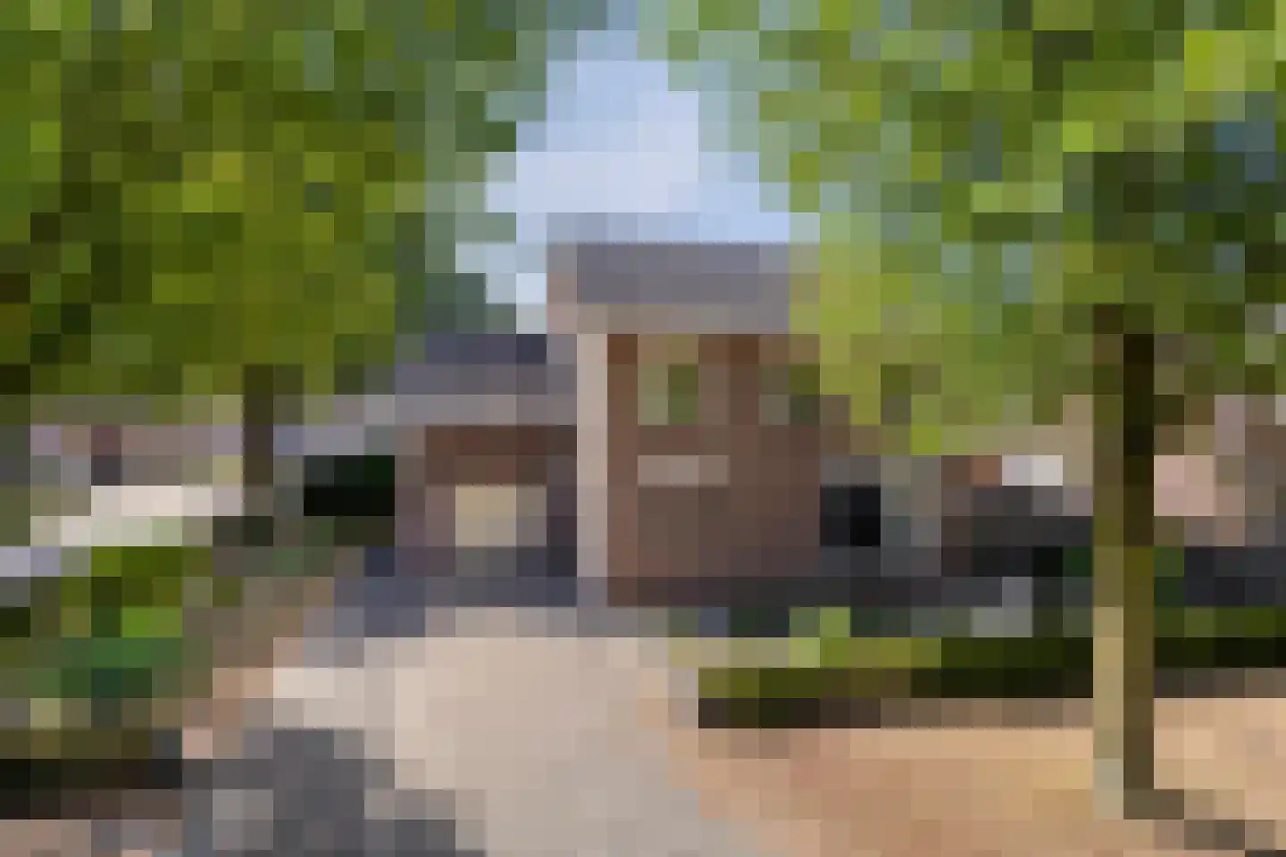 Boekweitstraat 1 Odiliapeel thumbnail 5
