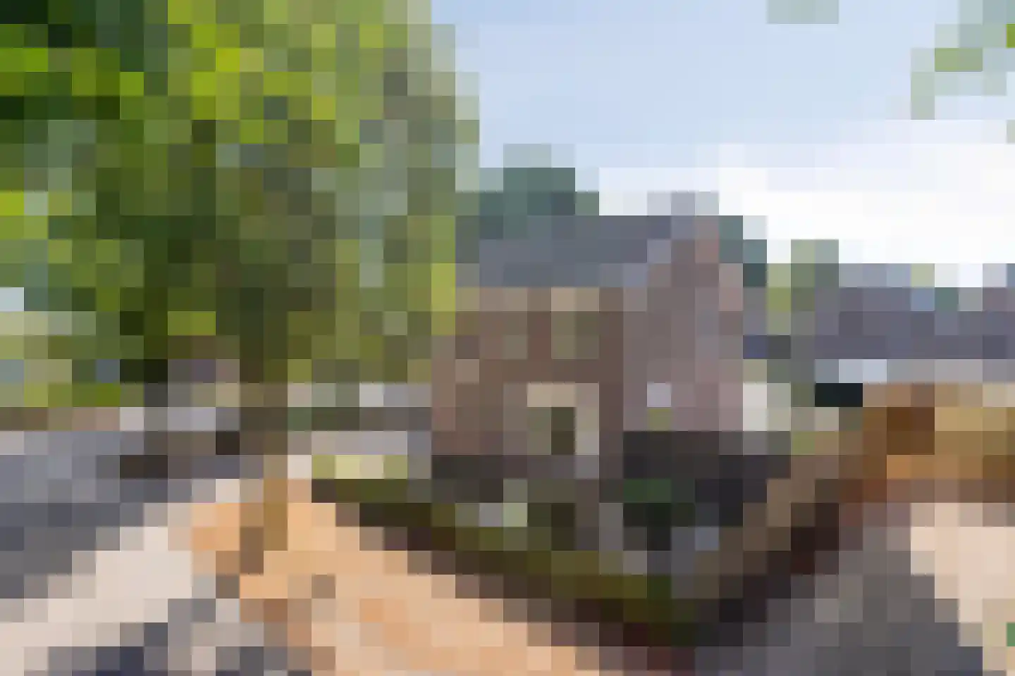 Boekweitstraat 1 Odiliapeel thumbnail 50