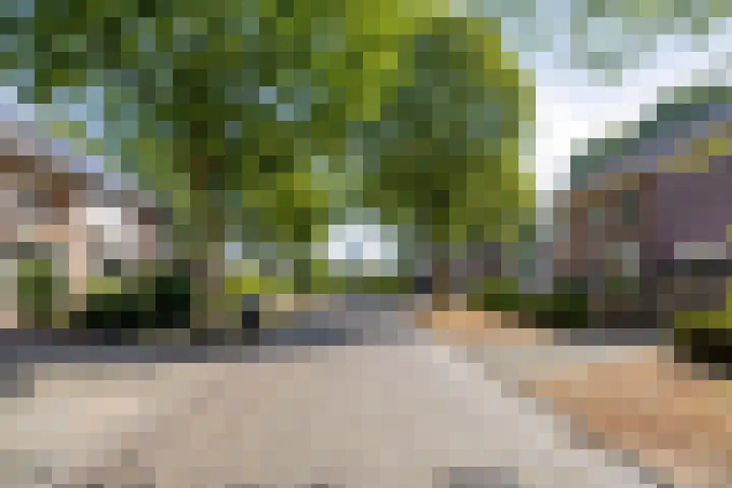 Boekweitstraat 1 Odiliapeel thumbnail 51