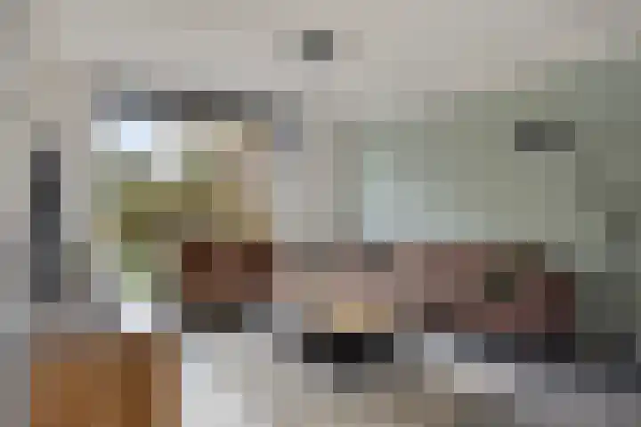 Boekweitstraat 10 Maarheeze thumbnail 12