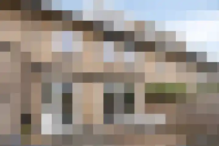 Boekweitstraat 10 Maarheeze thumbnail 39