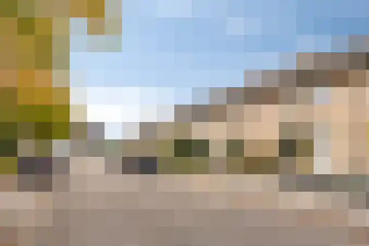 Boekweitstraat 10 Maarheeze thumbnail 8