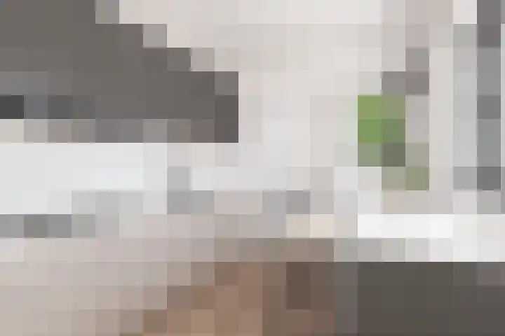 Boekweitstraat 11 Maarheeze thumbnail 21