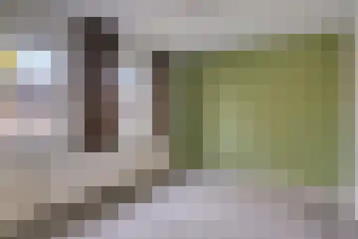 Boekweitstraat 11 Maarheeze thumbnail 28