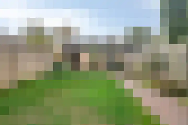 Boekweitstraat 11 Maarheeze thumbnail 33