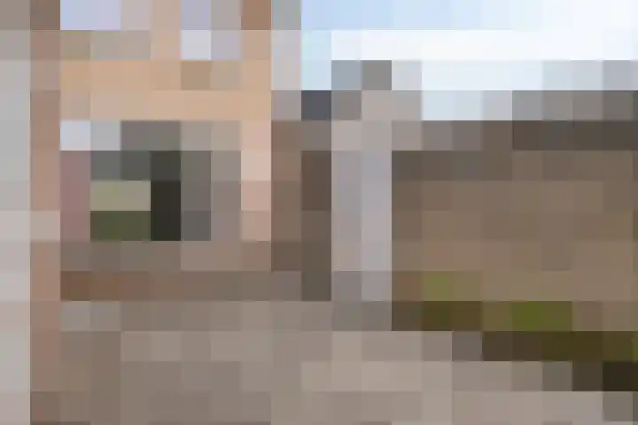Boekweitstraat 11 Maarheeze thumbnail 34