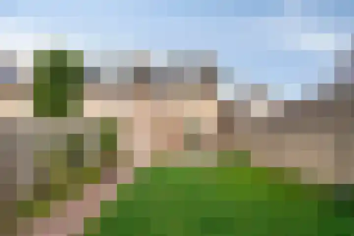 Boekweitstraat 11 Maarheeze thumbnail 36