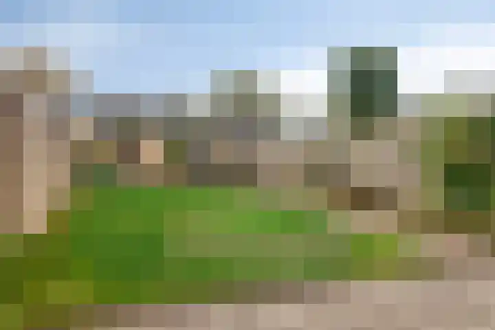 Boekweitstraat 11 Maarheeze thumbnail 5