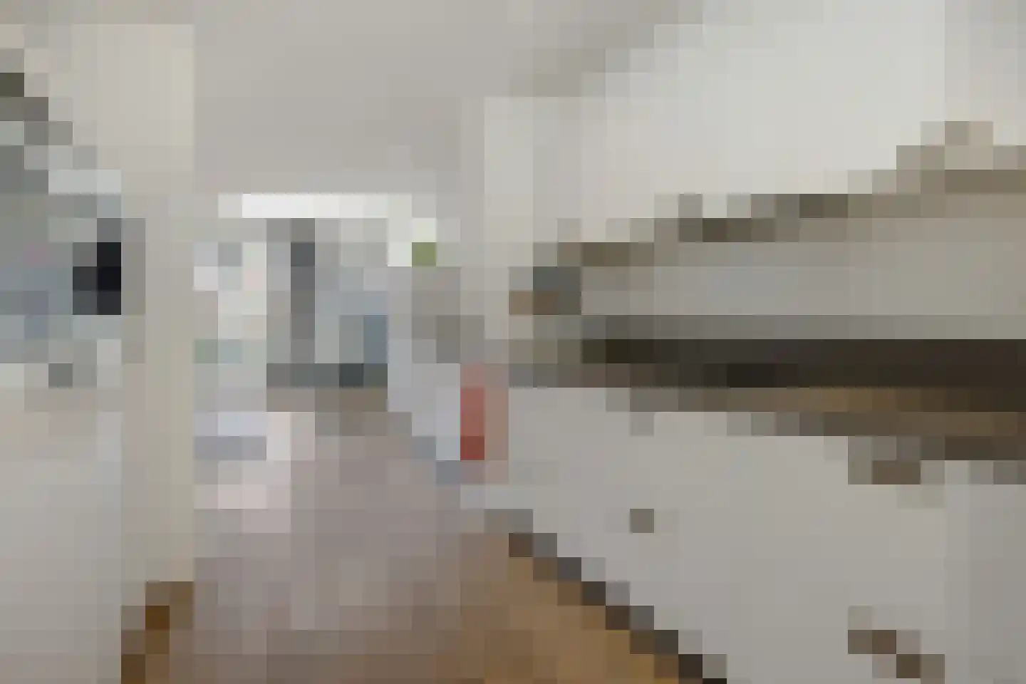 Boekweitstraat 12 Nuland thumbnail 10