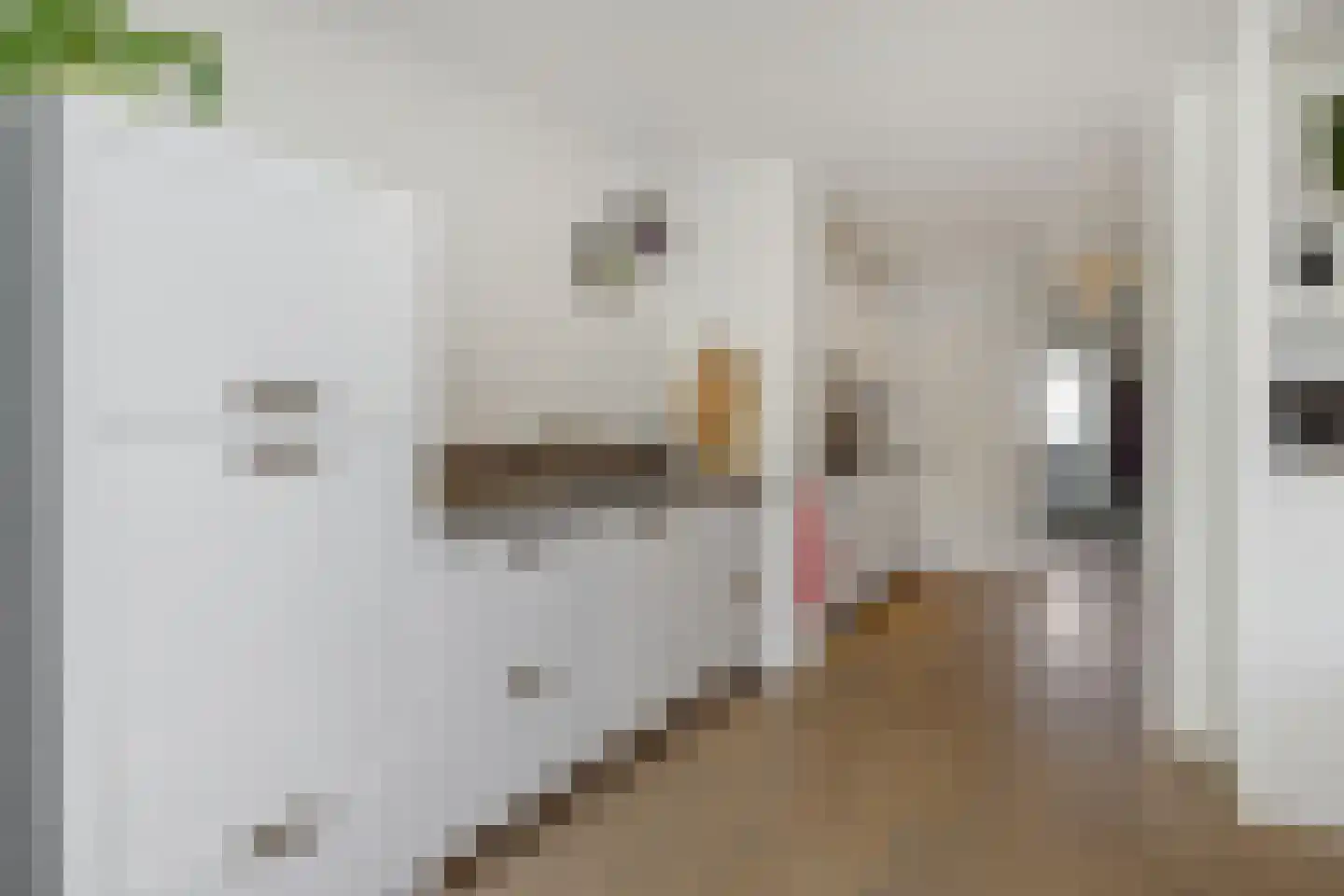 Boekweitstraat 12 Nuland thumbnail 11