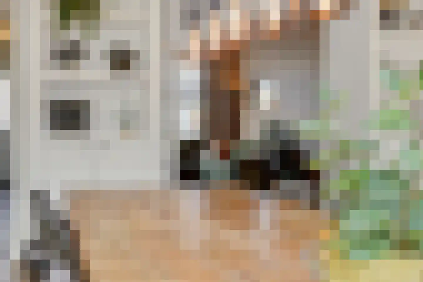 Boekweitstraat 12 Nuland thumbnail 16