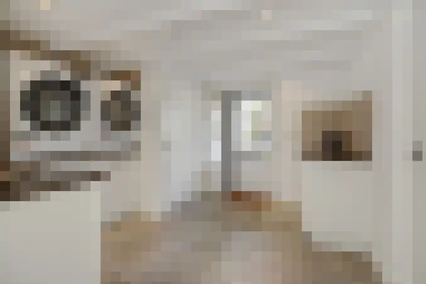 Boekweitstraat 12 Nuland thumbnail 18