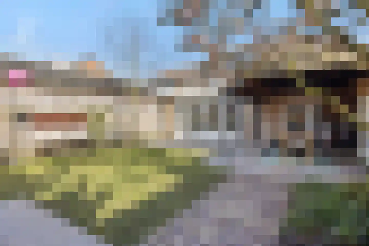 Boekweitstraat 12 Nuland thumbnail 36