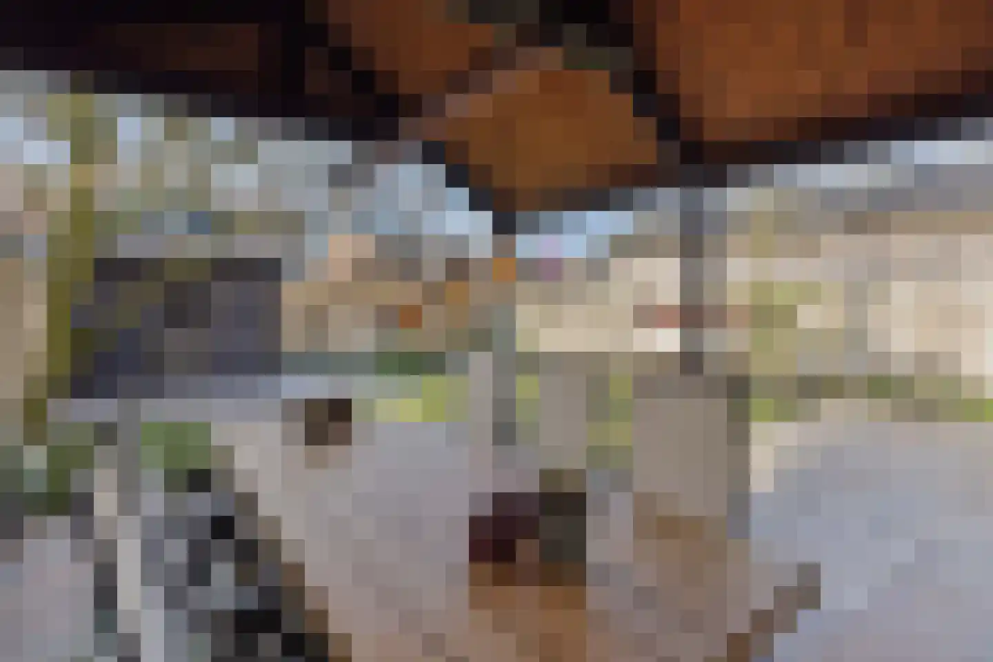 Boekweitstraat 12 Nuland thumbnail 37