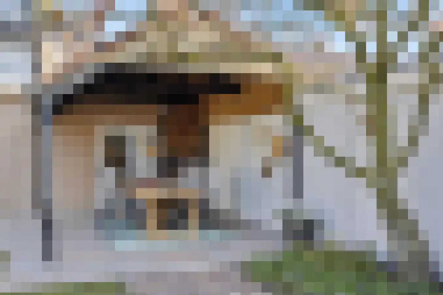 Boekweitstraat 12 Nuland thumbnail 39