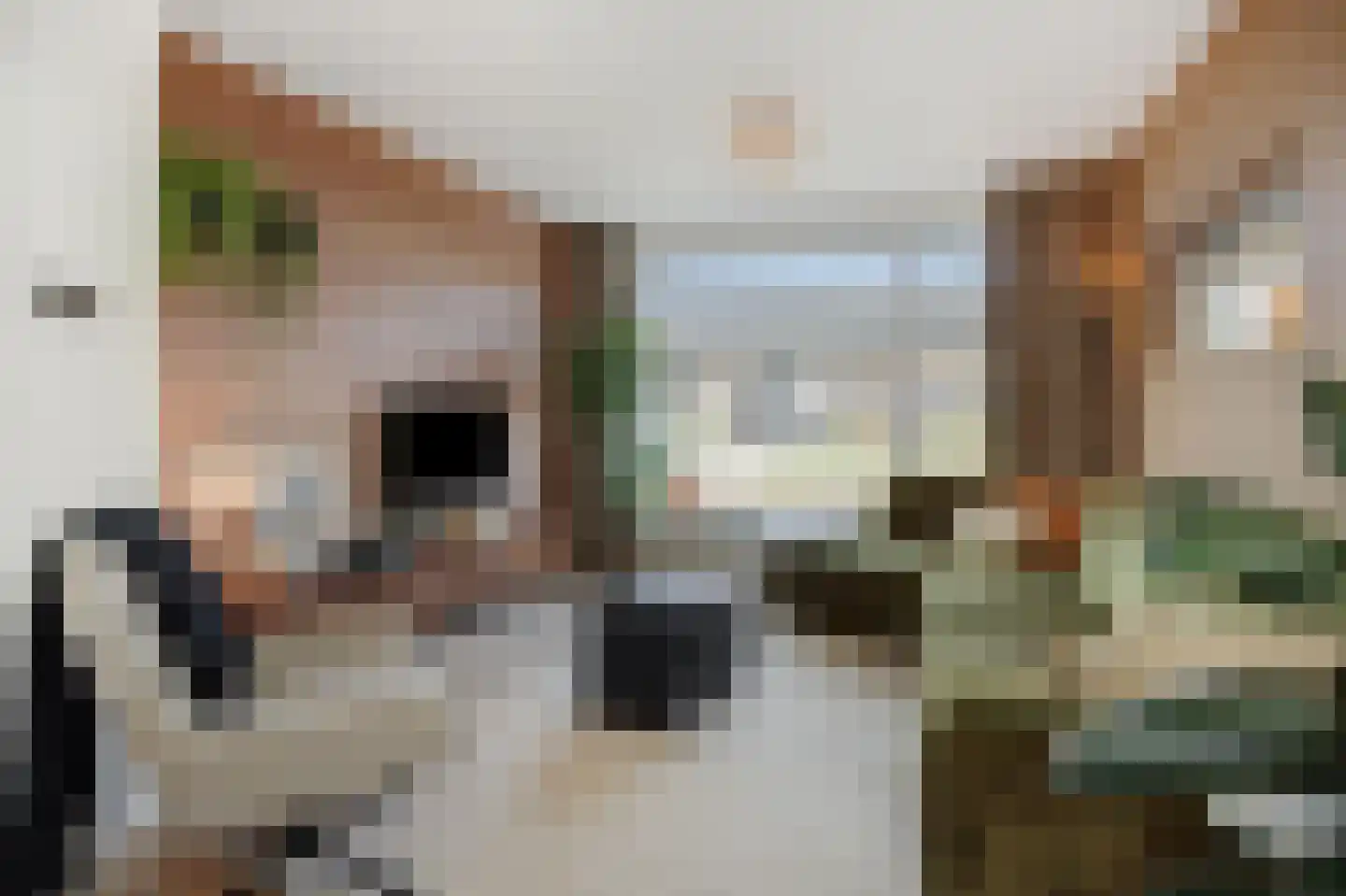 Boekweitstraat 12 Nuland thumbnail 5