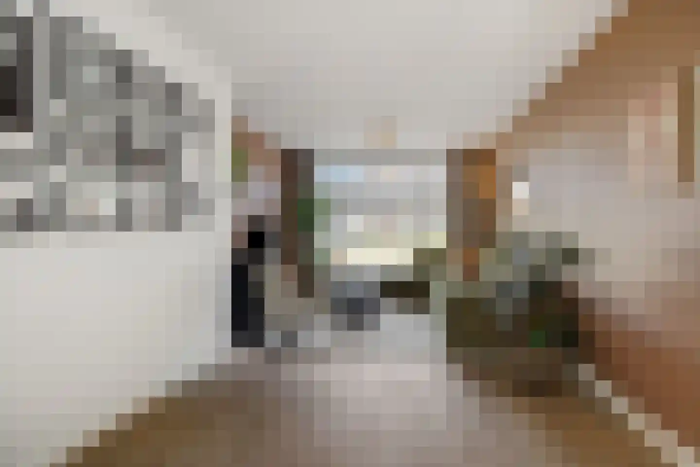 Boekweitstraat 12 Nuland thumbnail 6