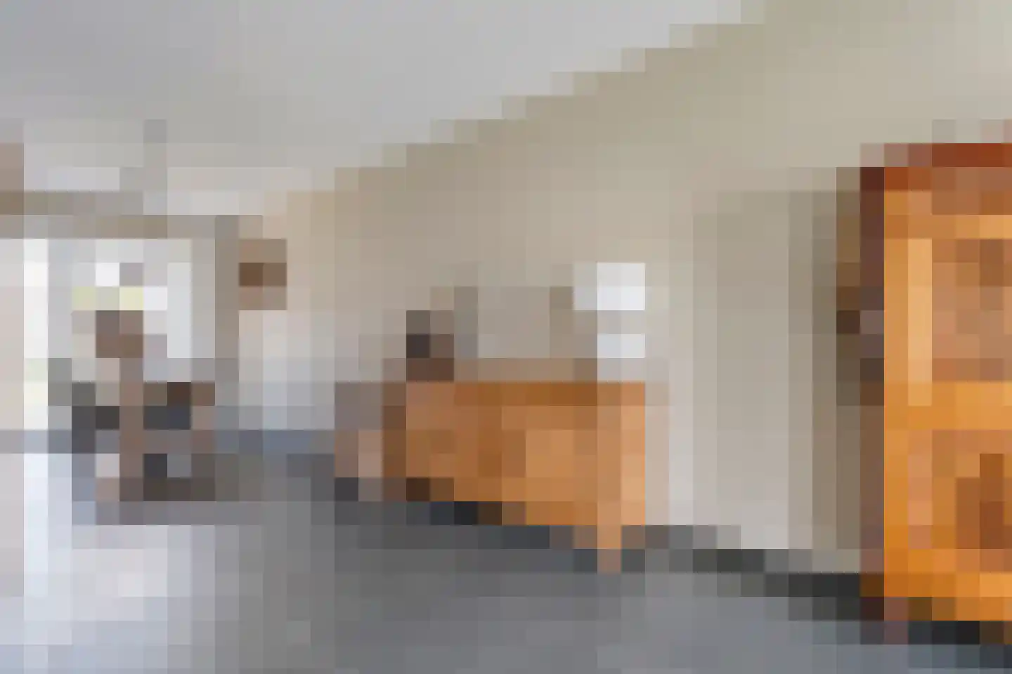 Boekweitstraat 13 Nieuw-Balinge thumbnail 10