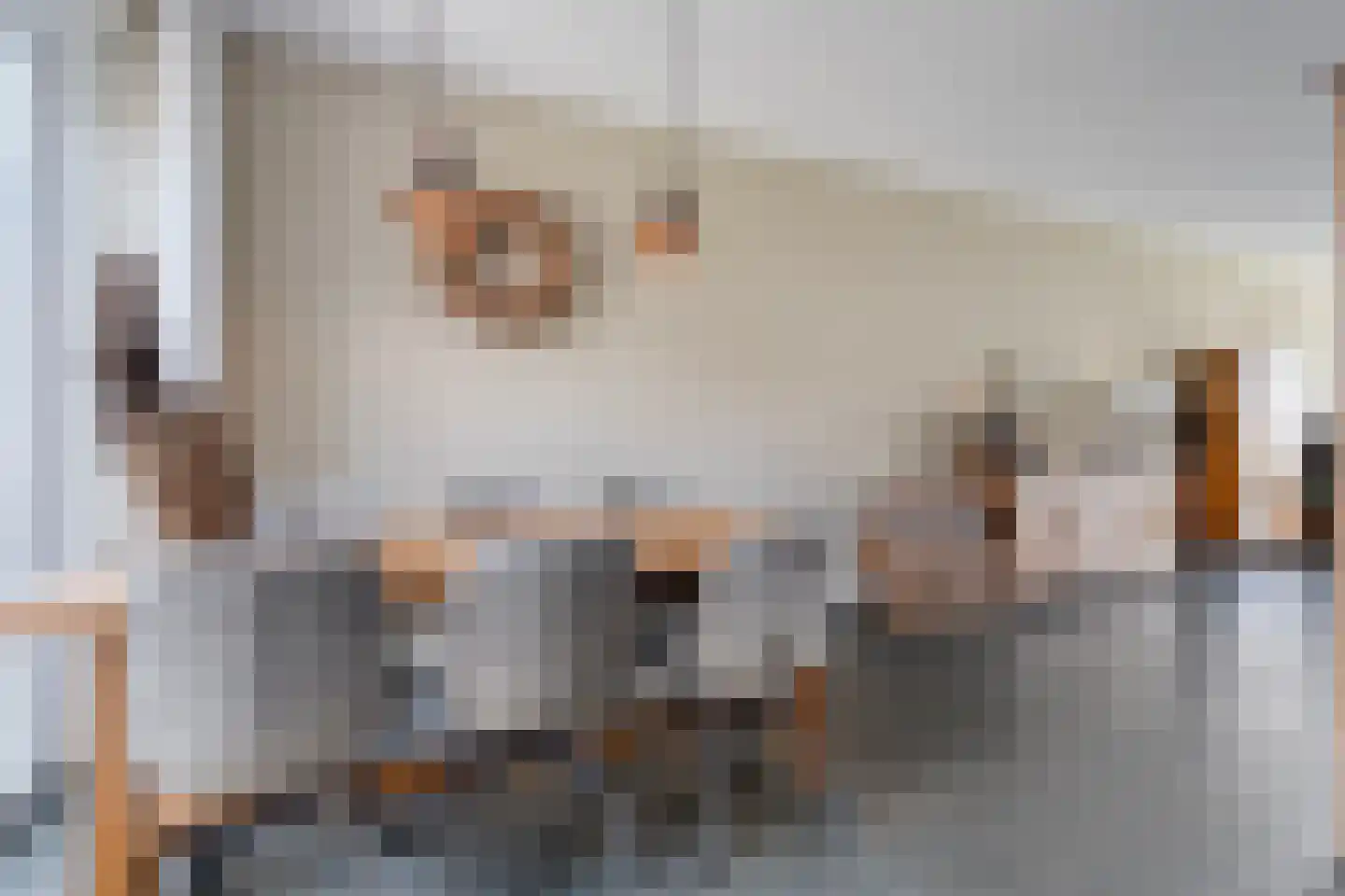 Boekweitstraat 13 Nieuw-Balinge thumbnail 12