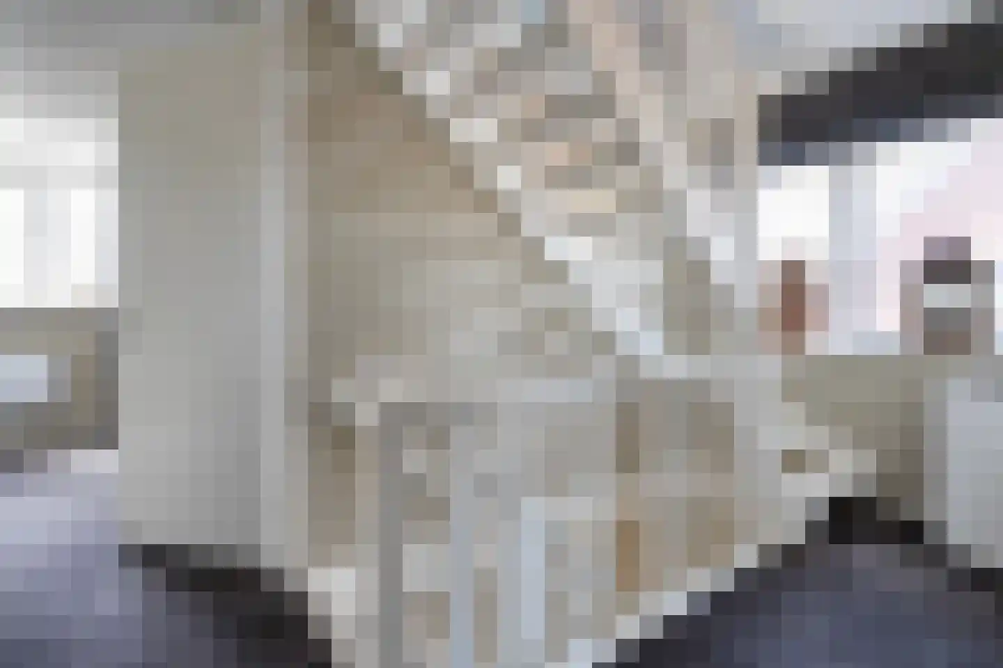 Boekweitstraat 13 Nieuw-Balinge thumbnail 18