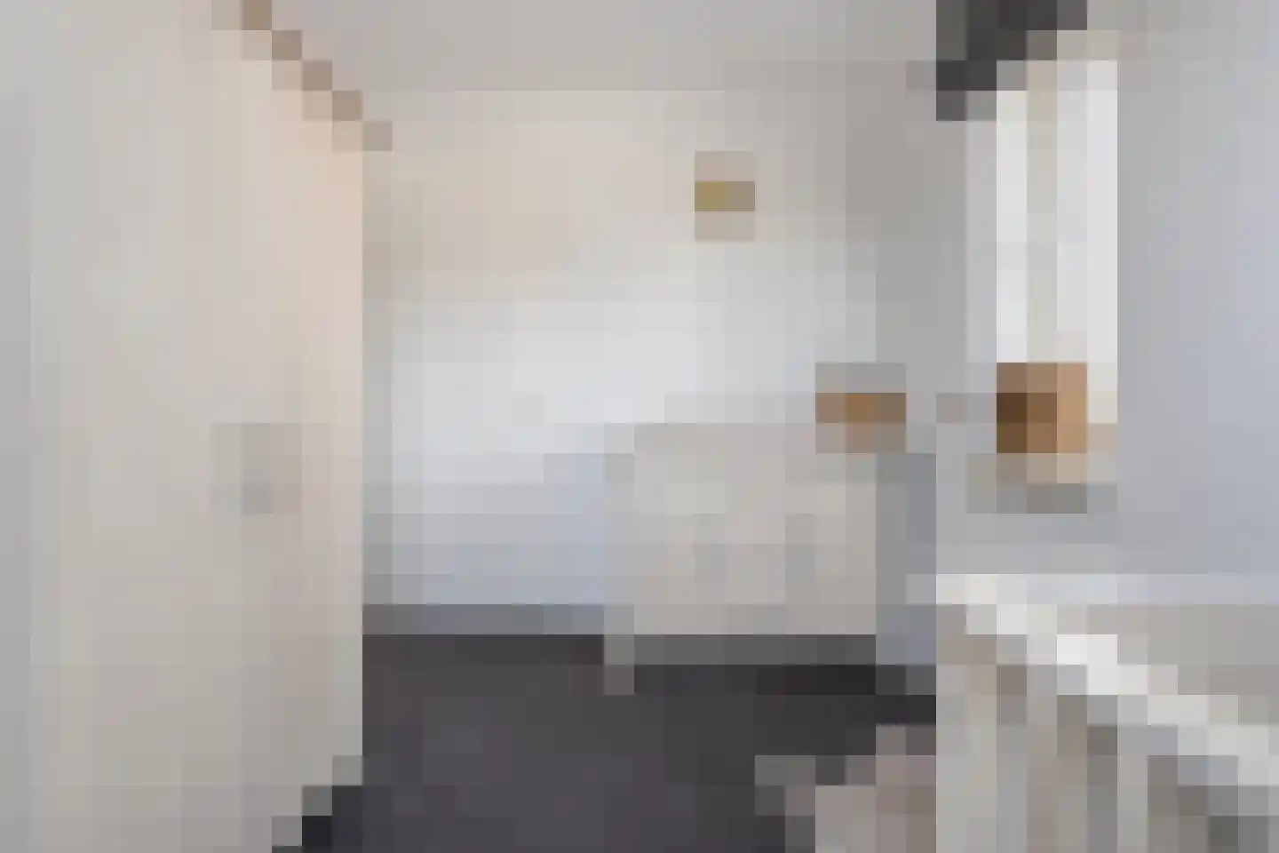 Boekweitstraat 13 Nieuw-Balinge thumbnail 21