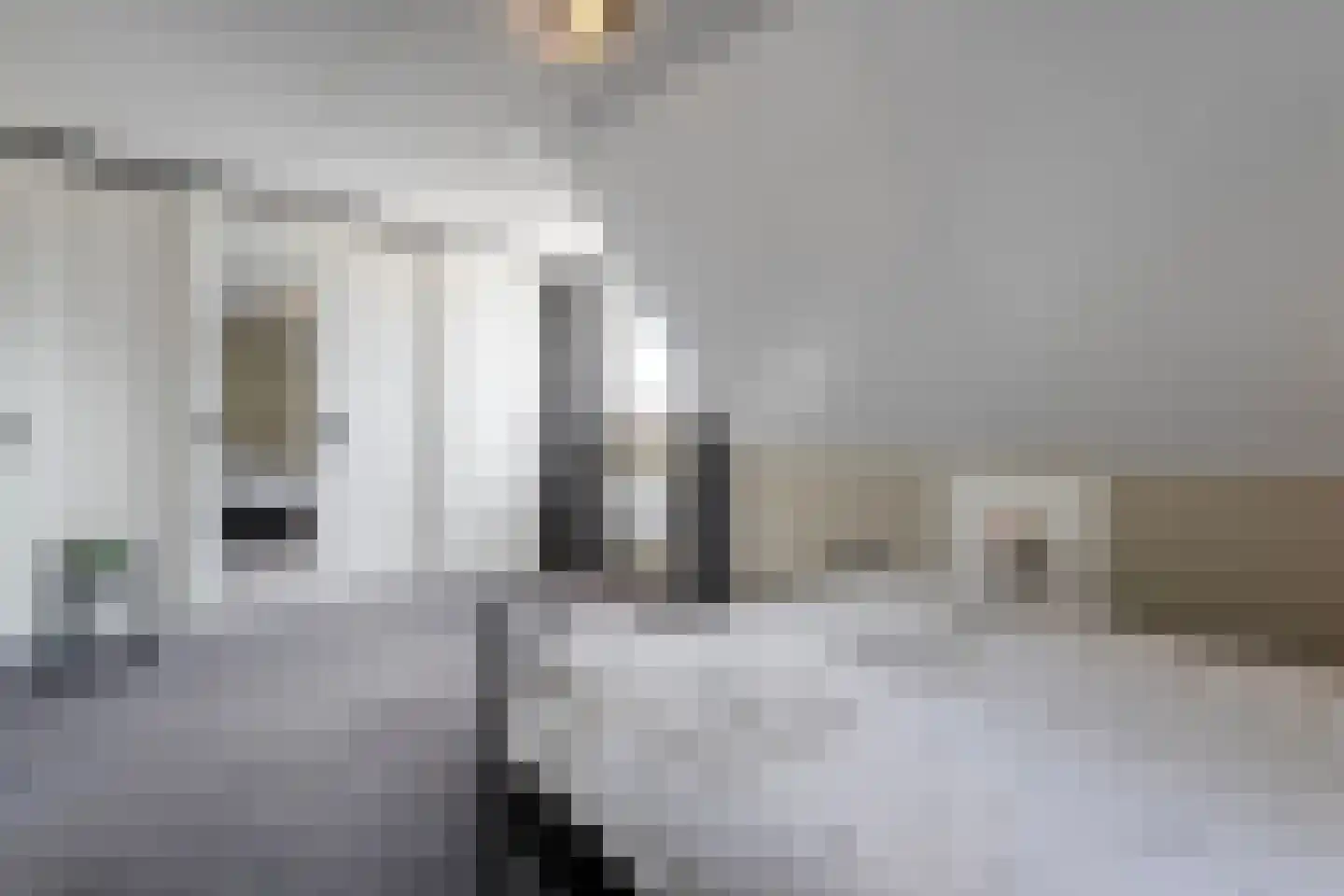 Boekweitstraat 13 Nieuw-Balinge thumbnail 25
