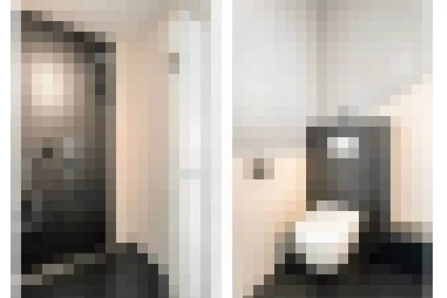 Boekweitstraat 13 Nieuw-Balinge thumbnail 27