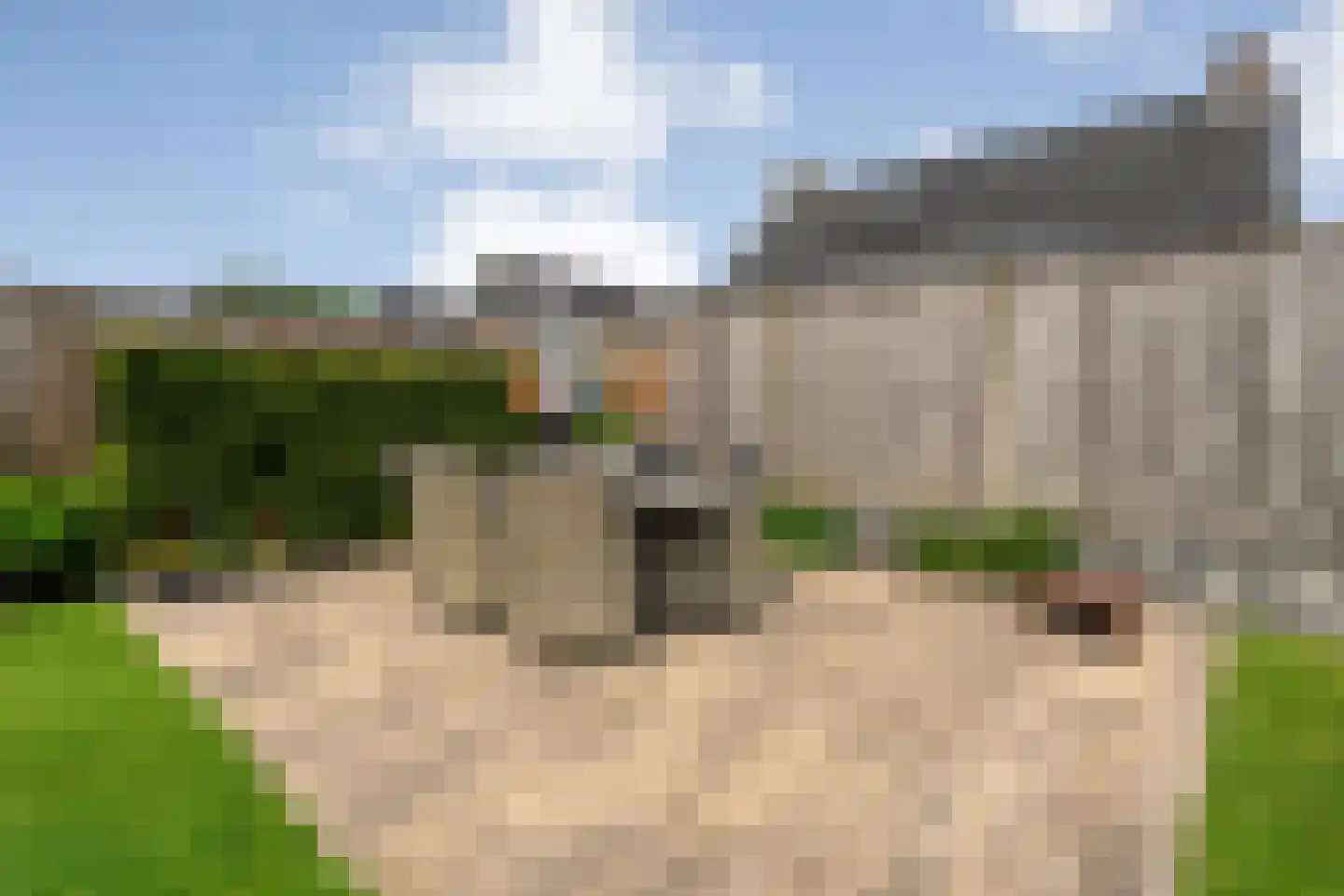 Boekweitstraat 13 Nieuw-Balinge thumbnail 37
