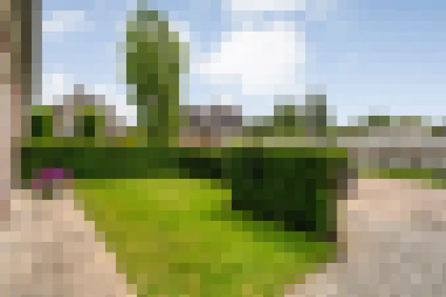 Boekweitstraat 13 Nieuw-Balinge thumbnail 40