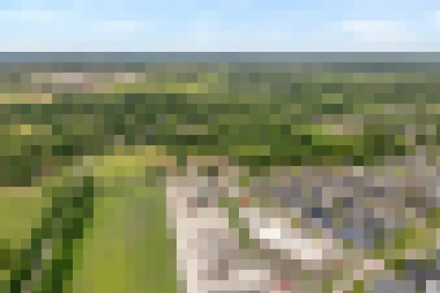 Boekweitstraat 13 Nieuw-Balinge thumbnail 41