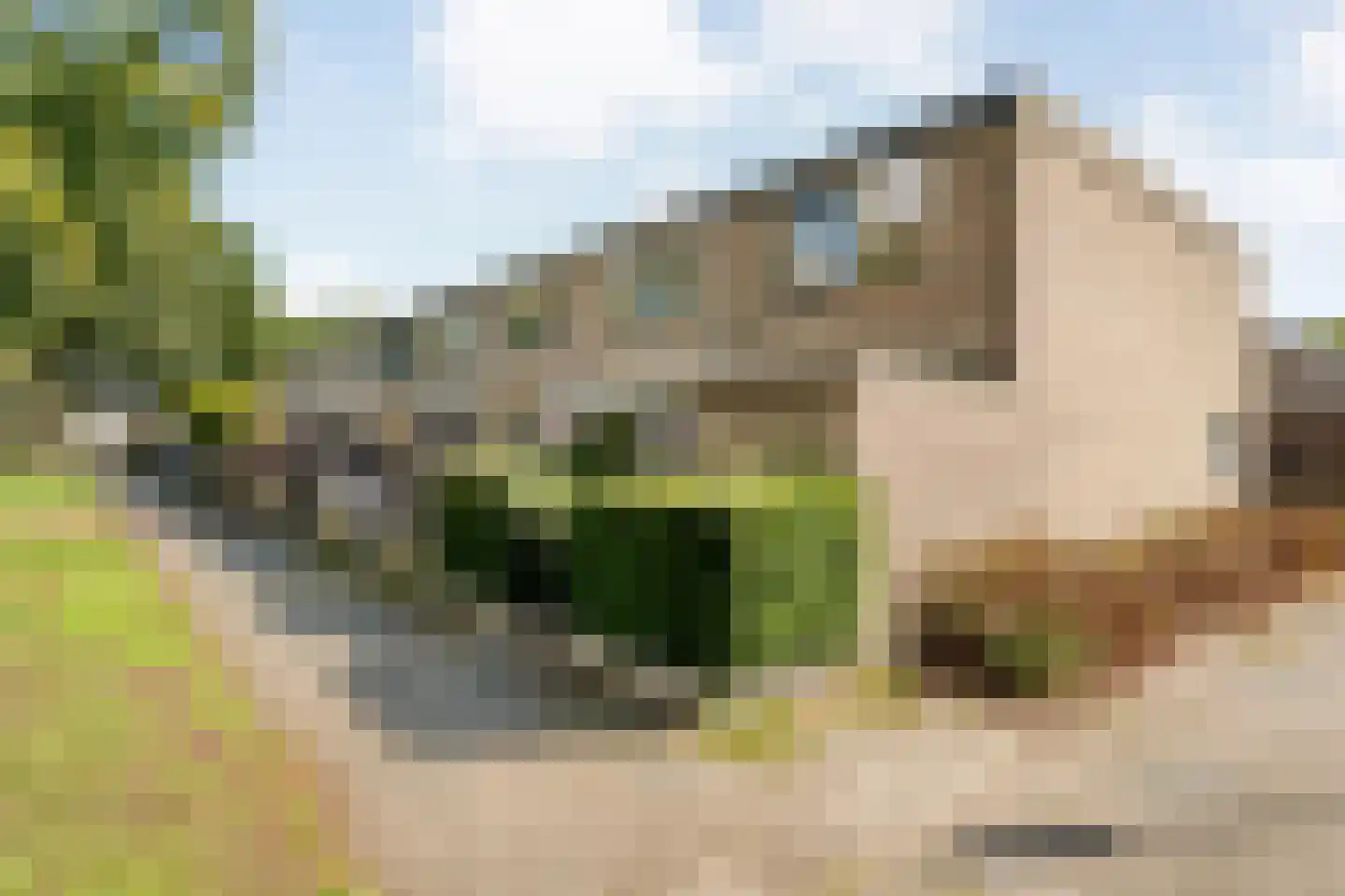Boekweitstraat 17 Slagharen thumbnail 10
