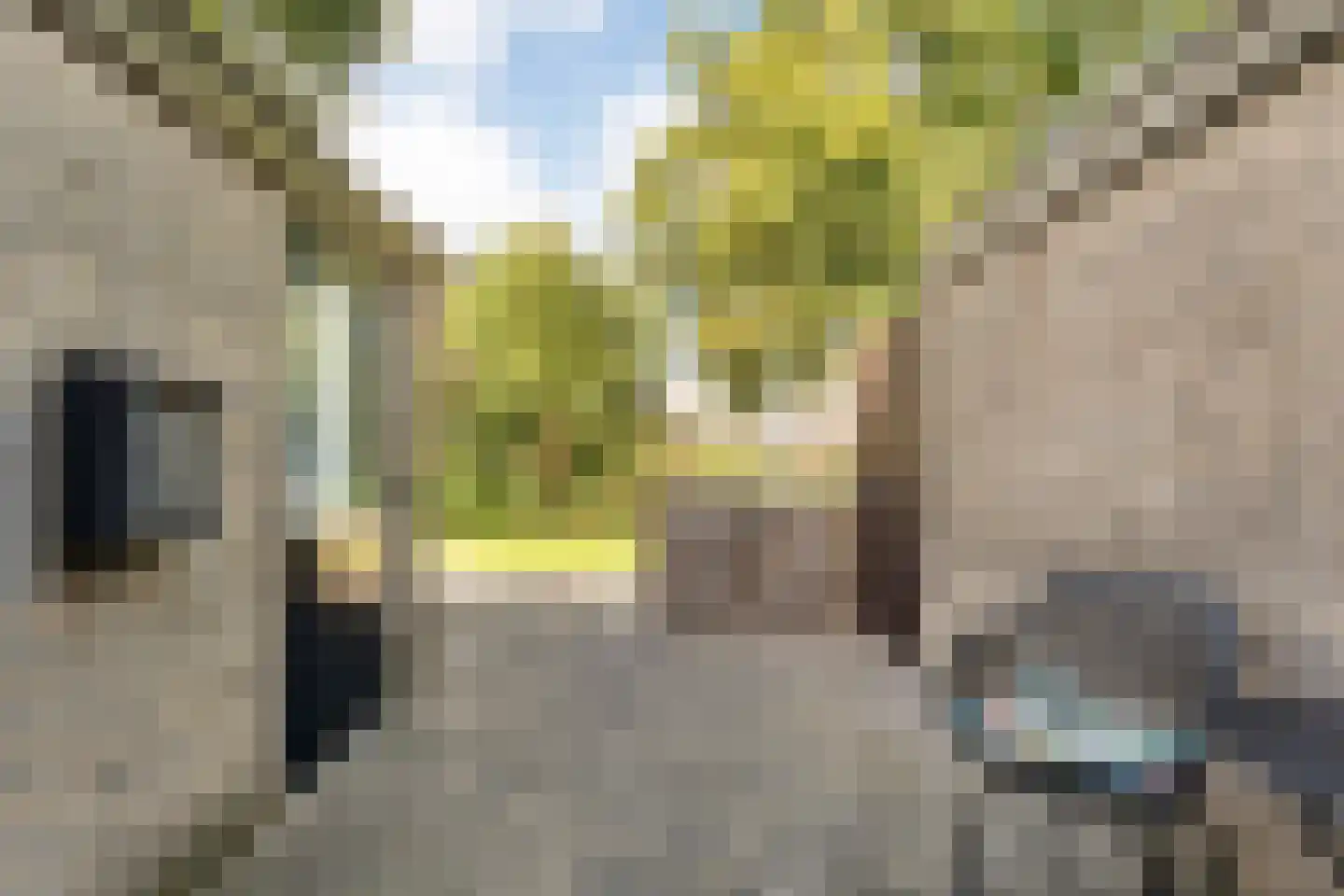 Boekweitstraat 17 Slagharen thumbnail 11