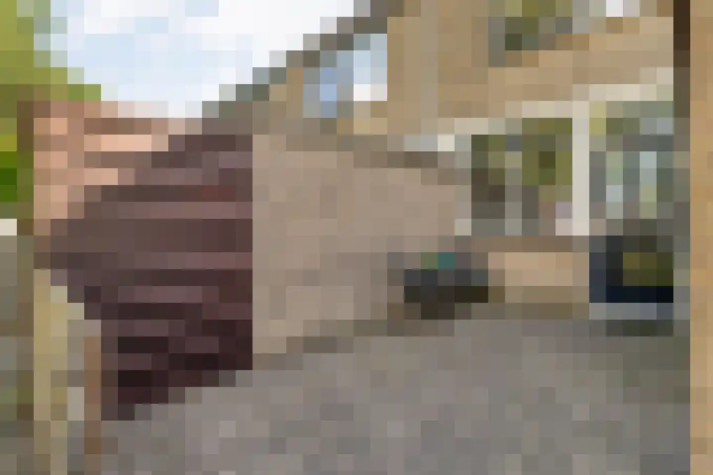 Boekweitstraat 17 Slagharen thumbnail 12