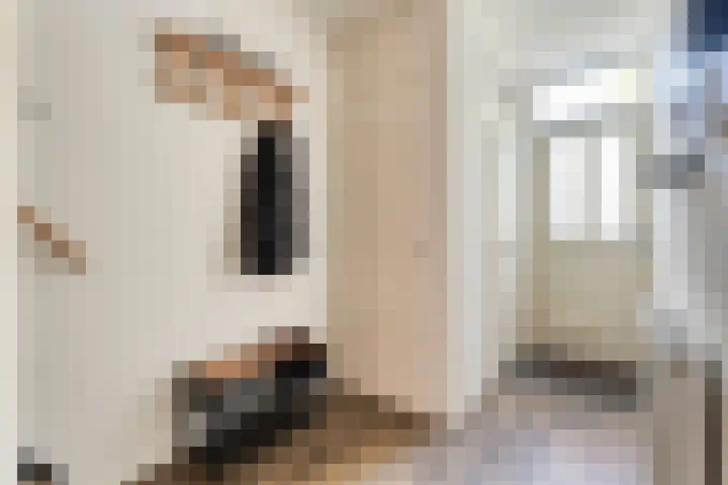 Boekweitstraat 17 Slagharen thumbnail 13