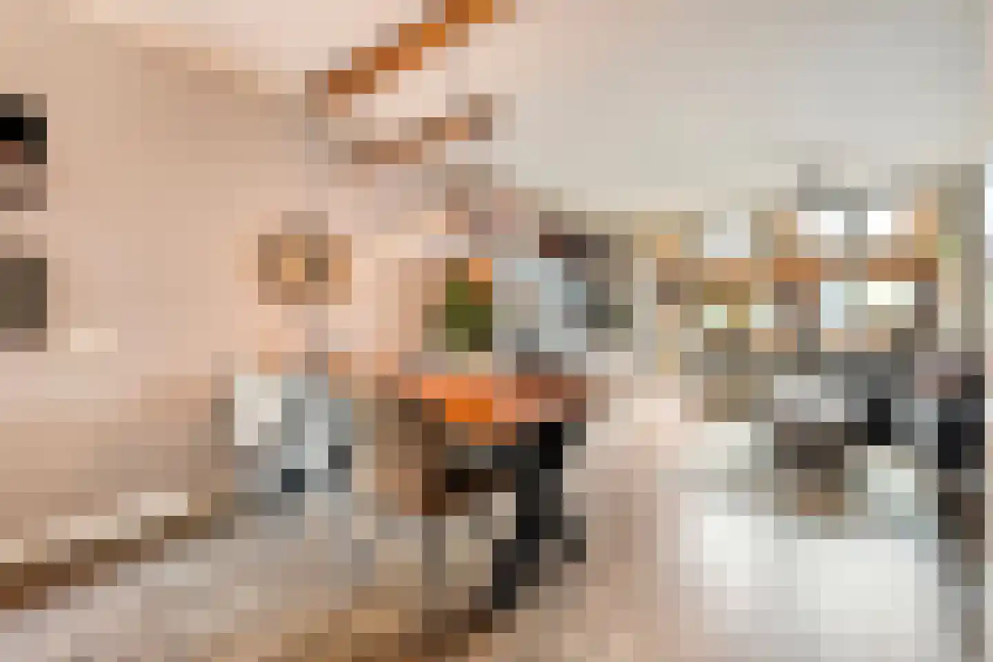 Boekweitstraat 17 Slagharen thumbnail 15