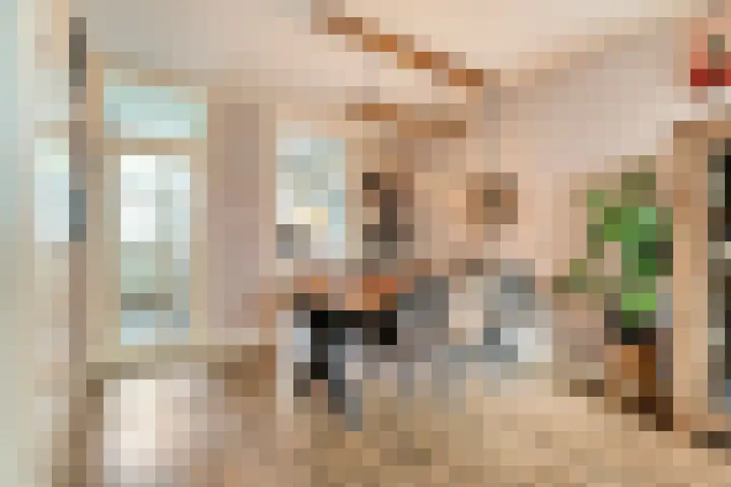Boekweitstraat 17 Slagharen thumbnail 16
