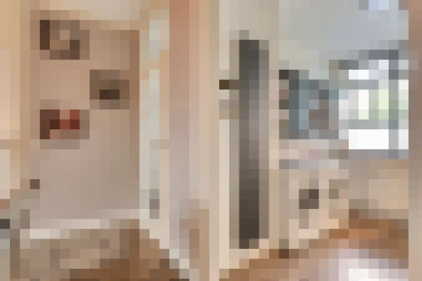 Boekweitstraat 17 Slagharen thumbnail 17