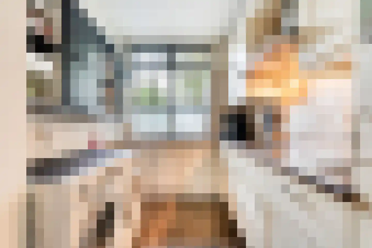 Boekweitstraat 17 Slagharen thumbnail 18