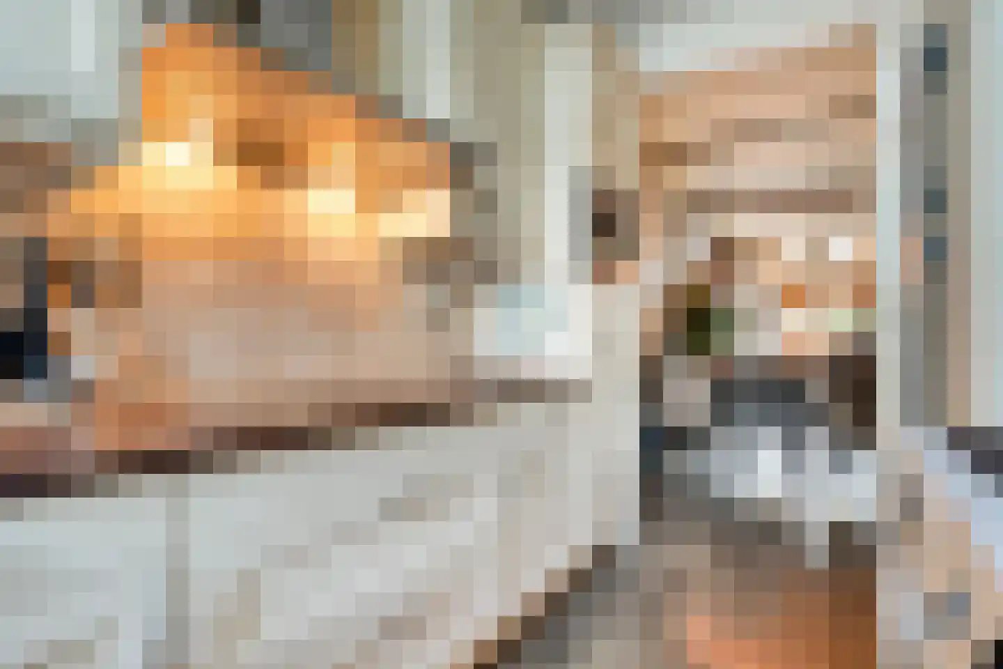 Boekweitstraat 17 Slagharen thumbnail 19