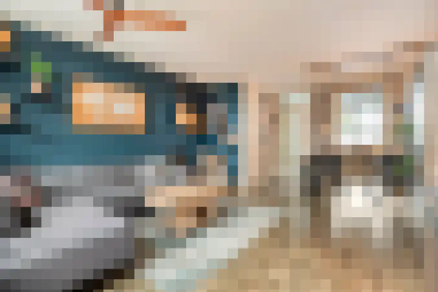 Boekweitstraat 17 Slagharen thumbnail 21
