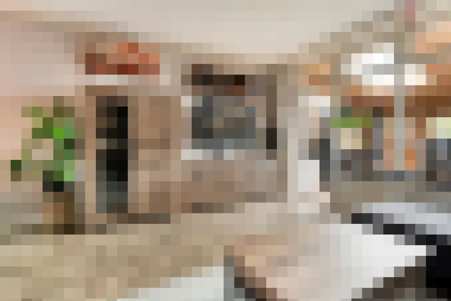 Boekweitstraat 17 Slagharen thumbnail 22