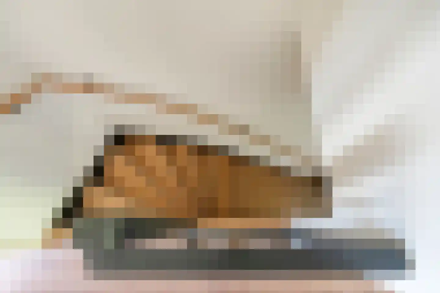 Boekweitstraat 17 Slagharen thumbnail 23