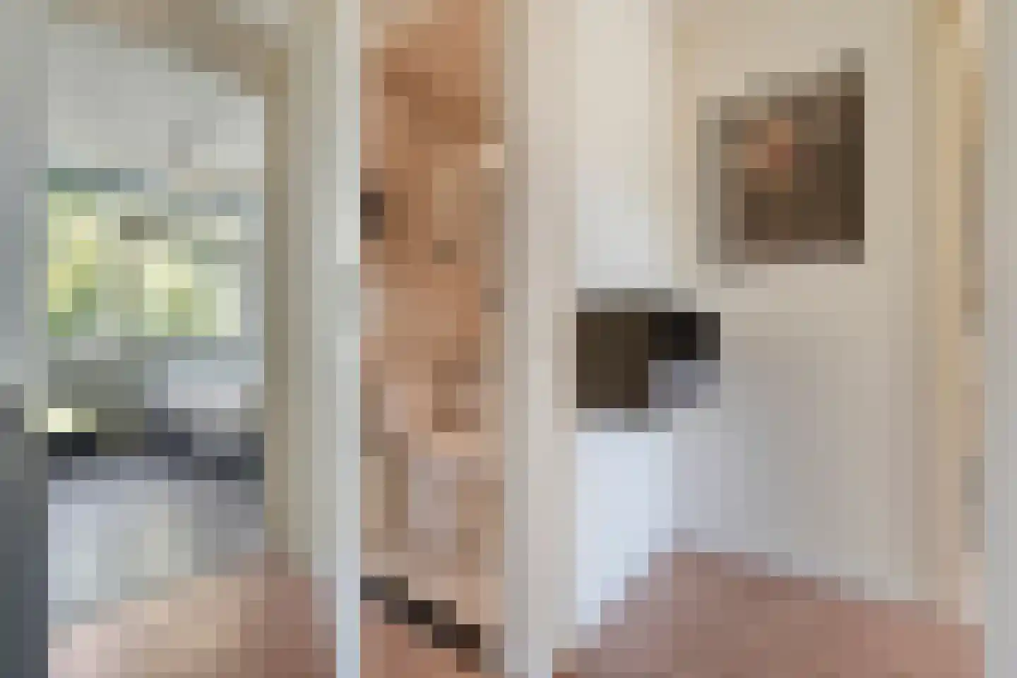 Boekweitstraat 17 Slagharen thumbnail 25