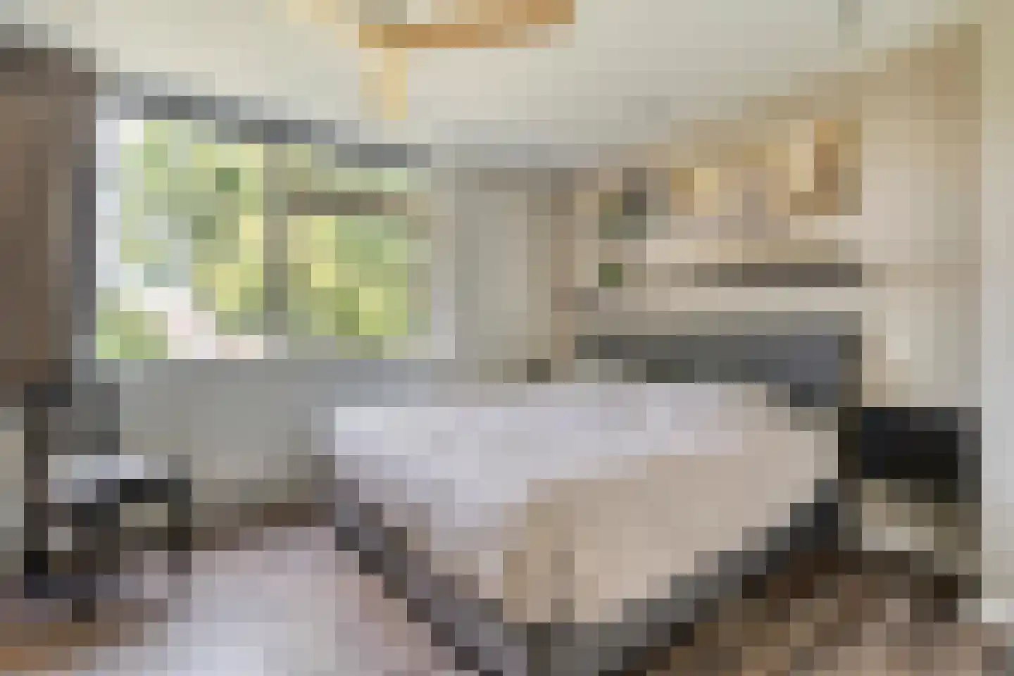 Boekweitstraat 17 Slagharen thumbnail 26