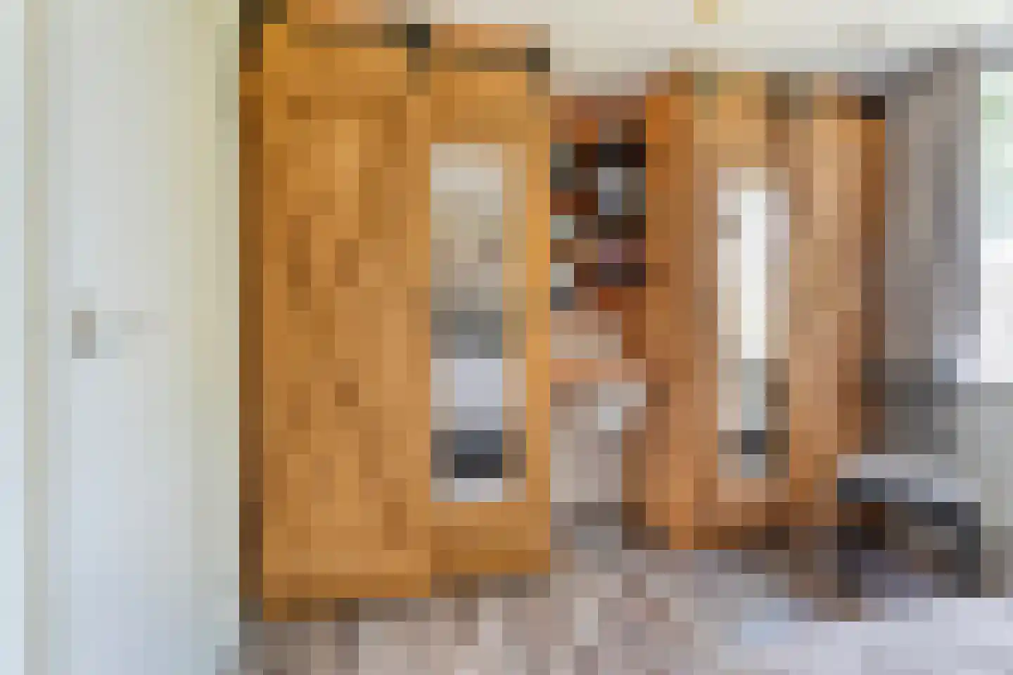 Boekweitstraat 17 Slagharen thumbnail 28